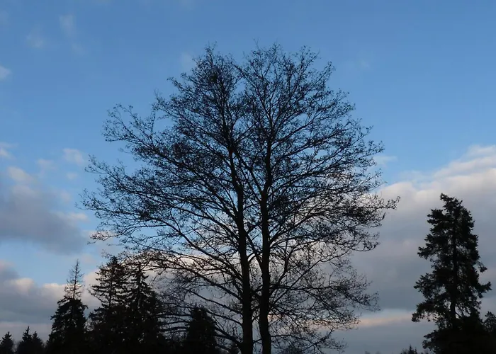 Апартаменты Kladska *