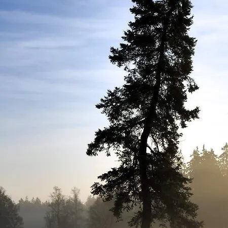 Kladska Mariánské Lázně