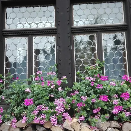 Appartement Kladska *