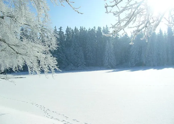 Kladska Mariánské Lázně