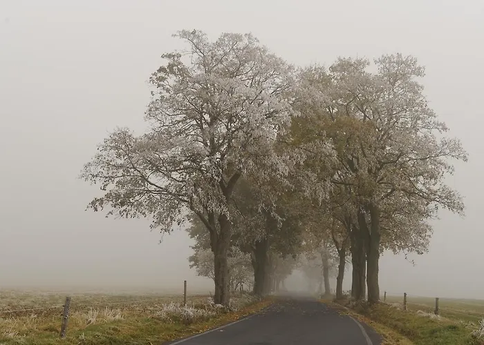 Kladska Mariánské Lázně